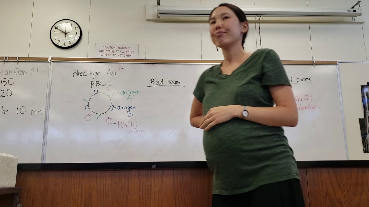 Rh/D antigens/ antibodies in blood types YouTube