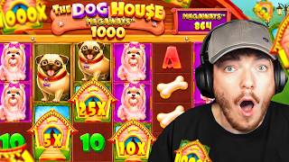 I did GIGA SPINS ONLY on DOGHOUSE 1000! (GUARANTEED 25X MINIMUM WILD)