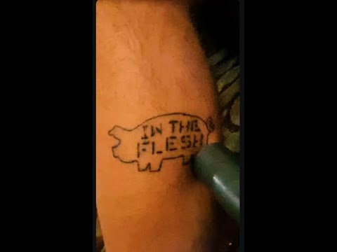 IN THE FLESH #shorts 🥹#pinkfloyd #vacuumcleaner #asmr #shortvideo #vlogger