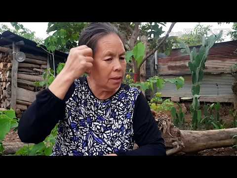 Video: Thawj Pab Rau Cov Menyuam Muaj Mob Pob Ntseg