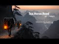 Dawn on the Tea Horse Road | Ancient China Sleep Meditation