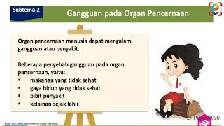 Rangkuman Materi Kelas 5 Tema 3 - Makanan Sehat