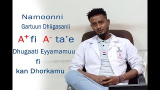 Namoonni Gartuun Dhigasaanii  A Fi A Tae Dhugaatin Akkamii Akka Eeyyamamuufi Dhorkamu