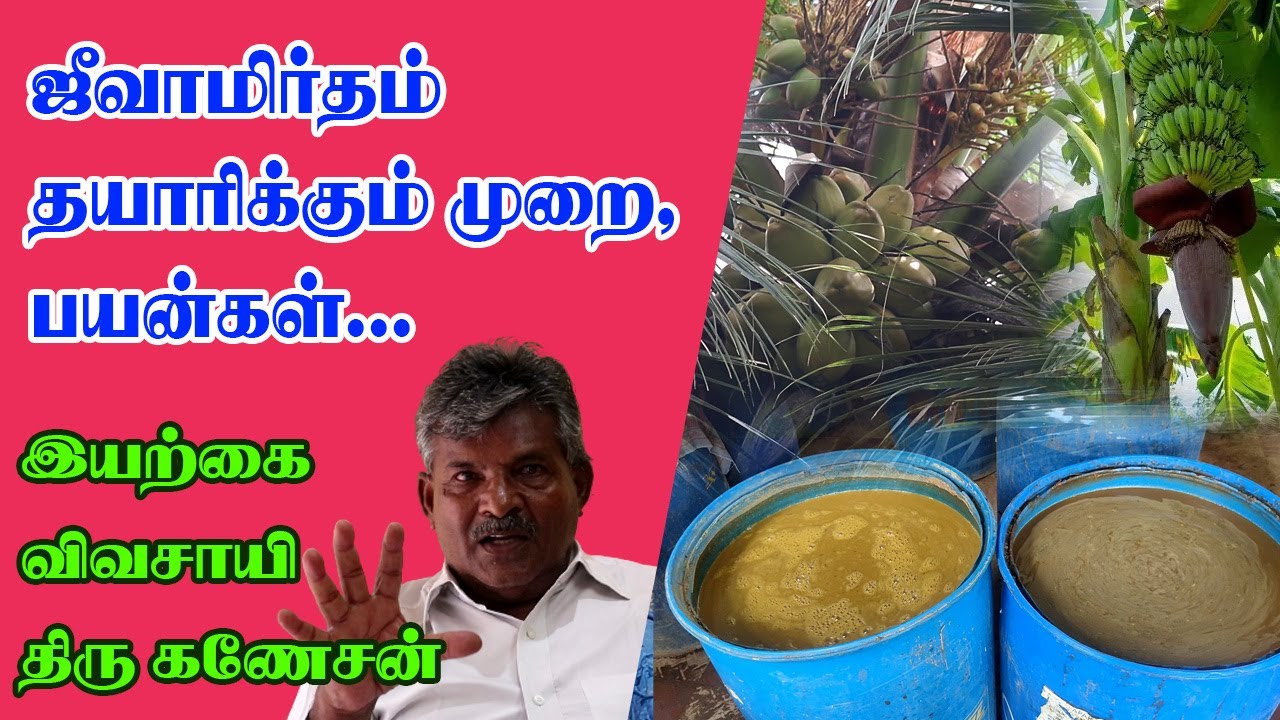 ஜீவாமிர்தம் தயாரிக்கும் முறை | பயன்கள் | Jeevamirtham Preparation in Tamil 