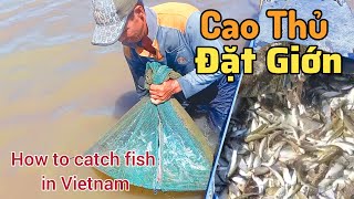 TTMT| Đổ Giớn Khẩm Cá Lấy Xe Rùa Đẩy Vào| How to catch fish in Vietnam