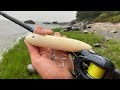 Casting Big Topwater Lures in the Rain for Whatever Bites!!