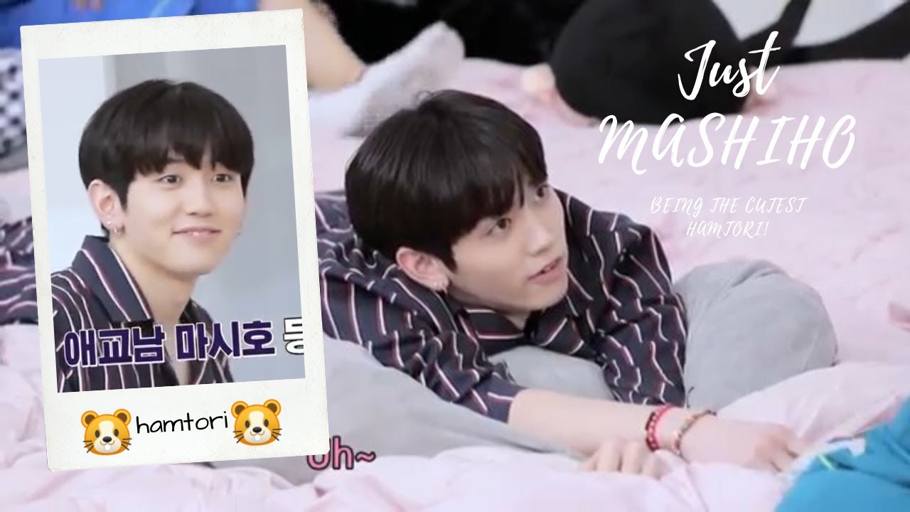 Just Mashiho Being The Cutest Hamtori | TREASURE