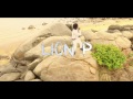 Lion P Dab Official Video