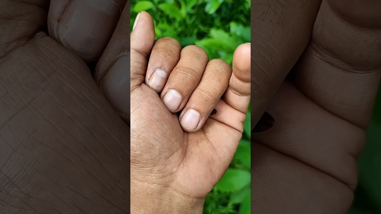 Азиатские жуки, которых вы никогда не видели...