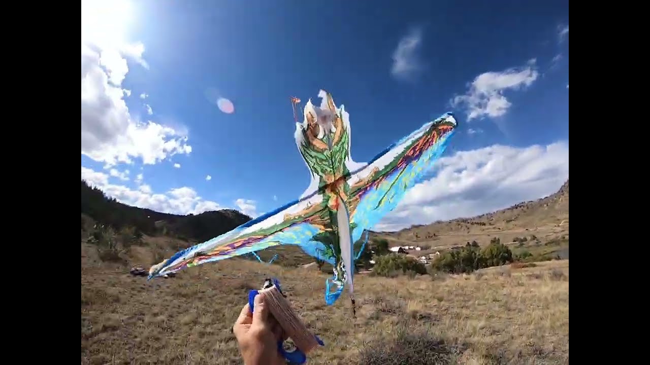 ⁣Release and Catch the Dragon Over Gordon Creek