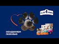CLUB 4 PAWS выбирайте лучшее для своих питомцев