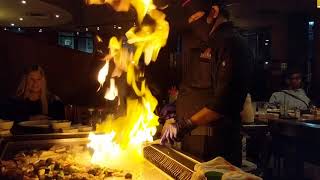 Nagoya hibachi service Perrysburg, Ohio Levis Commons