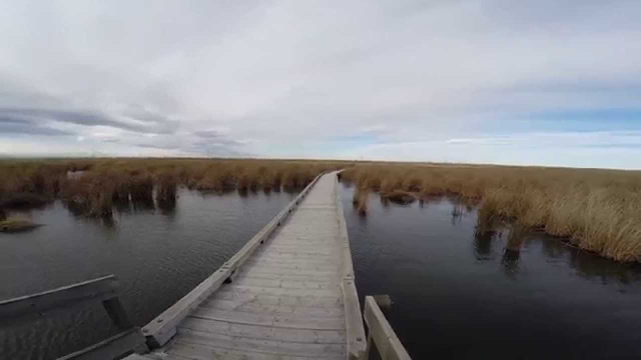Frank Lake Southern Alberta YouTube