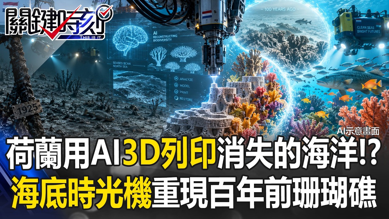 荷蘭用AI「3D列印」消失的海洋！？ 「海底時光機」重現百年前珊瑚礁和牡蠣帝國！【關鍵時刻】20260907-6張炤和 縮圖