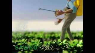 Como Fazer Veneno Inseticida Natural De Tes De Neemnim Da India