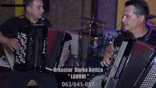 Orkestar Darka Antica LAVOVI - Srpsko kolo, Restoran Kosava 2017