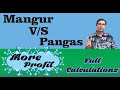 Mangur Aur Pangas Kisme Zyaada Profit H - Catfish VS Pangasius Fish Farming Calculations