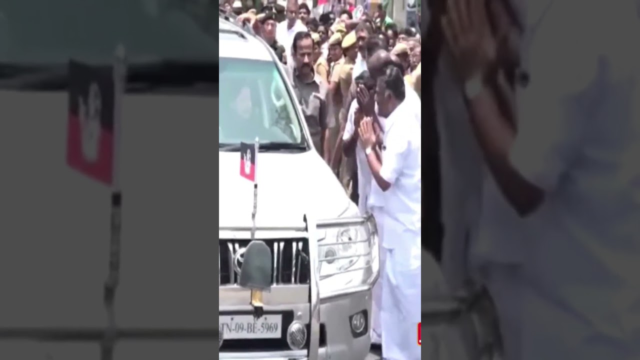 jayalalitha amma 👸👸👸