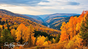 Music therapy 🍁 Autumn Melodies for Stress Relief & Healing