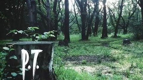 P.T. - SILENT HILLS - PS4 - WALKTHROUGH - FULL DEMO - FINAL SOLUTION - SPEED RUN - ITA - 1080P HD