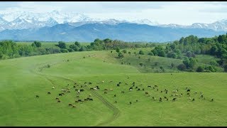 Карачаево-Черкесия