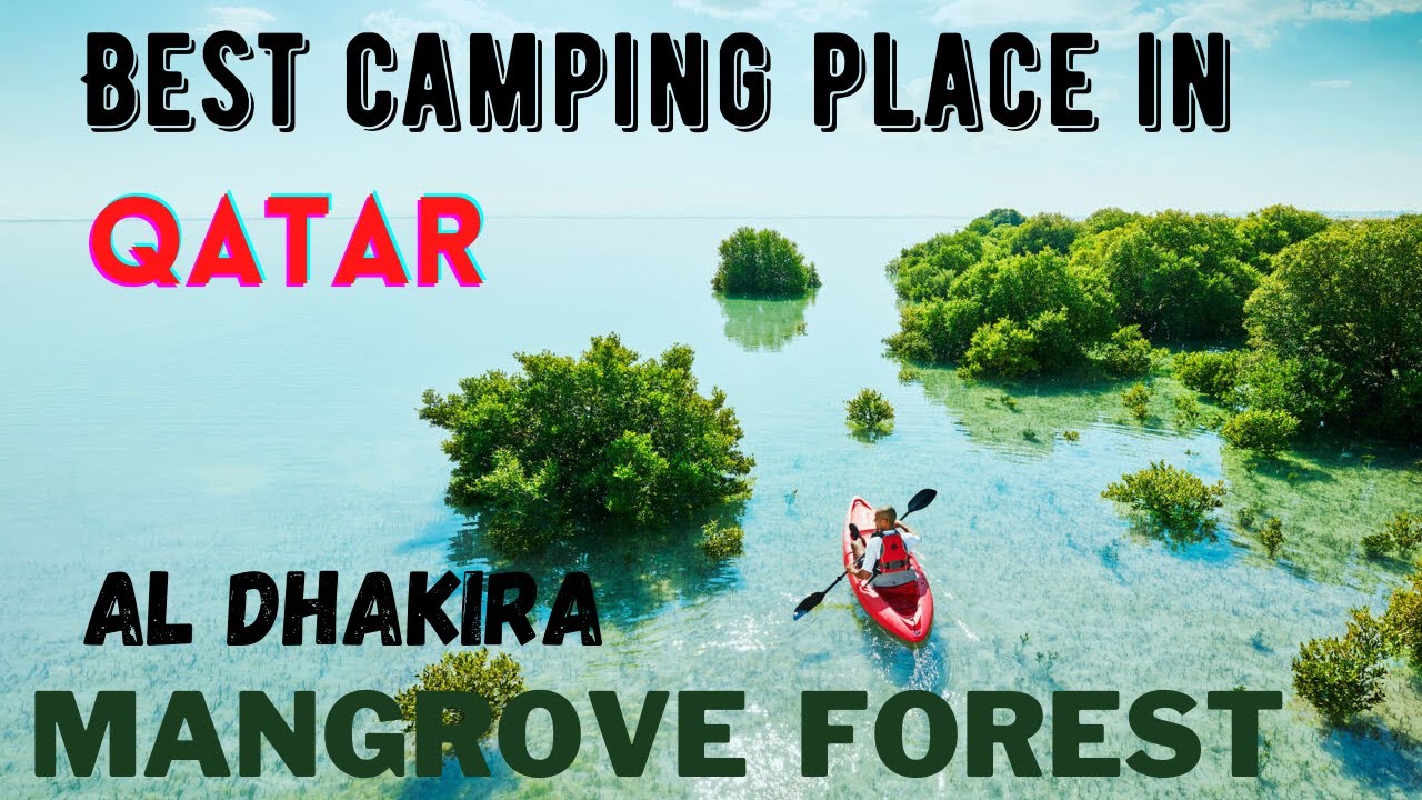 Al Dhakira Mangrove Forest qatar camping in qatar tenting kayaking