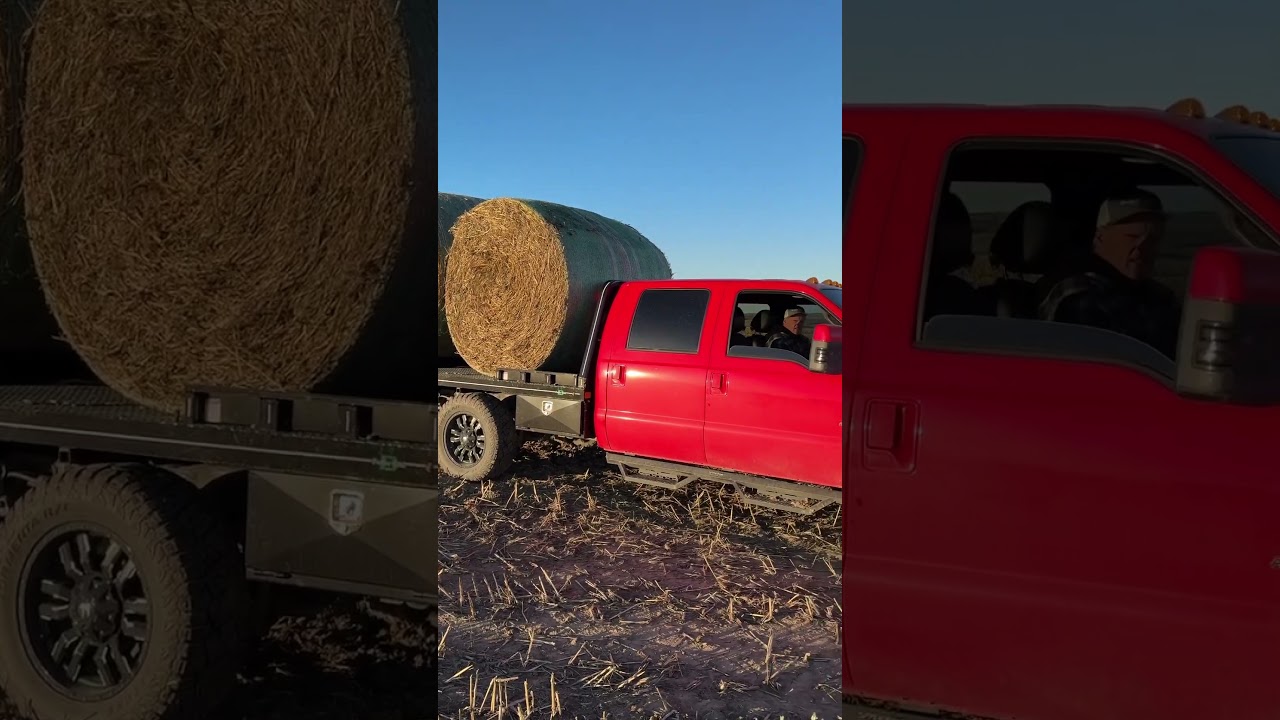 Butler bale bed doing the deal