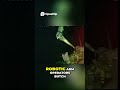 Astronauts Store Orbiter Boom Sensor System After Inspection