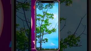 Lmc8.4 camera tricks। Sky Blue file.#love #shorts#viral  #trending screenshot 4