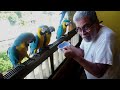 Guacamayas Caraqueñas - Un dia mas