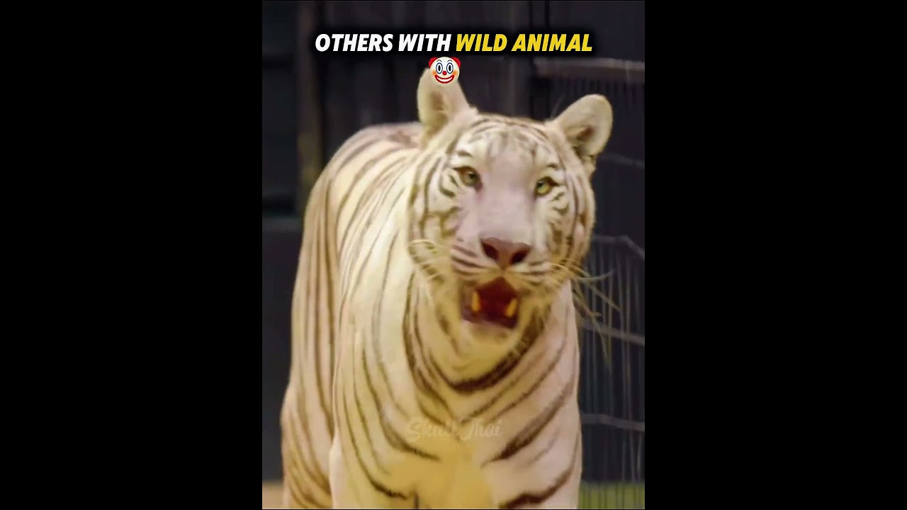 OTHERS WITH WILD ANIMAL VS LAST ONE 💀 