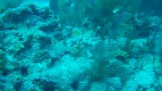 20130424 2 Key Largo Tauchen