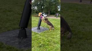 Training bite work on your own, using our K9 bite training aid dummy.