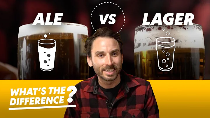 Ale vs. Lager Beer — What's the Difference? - DayDayNews
