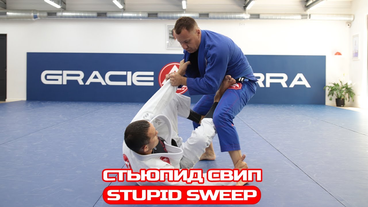 СТЬЮПИД СВИП/STUPID SWEEP