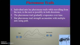 Introduction to Ant Colony Optimization (ACO).
