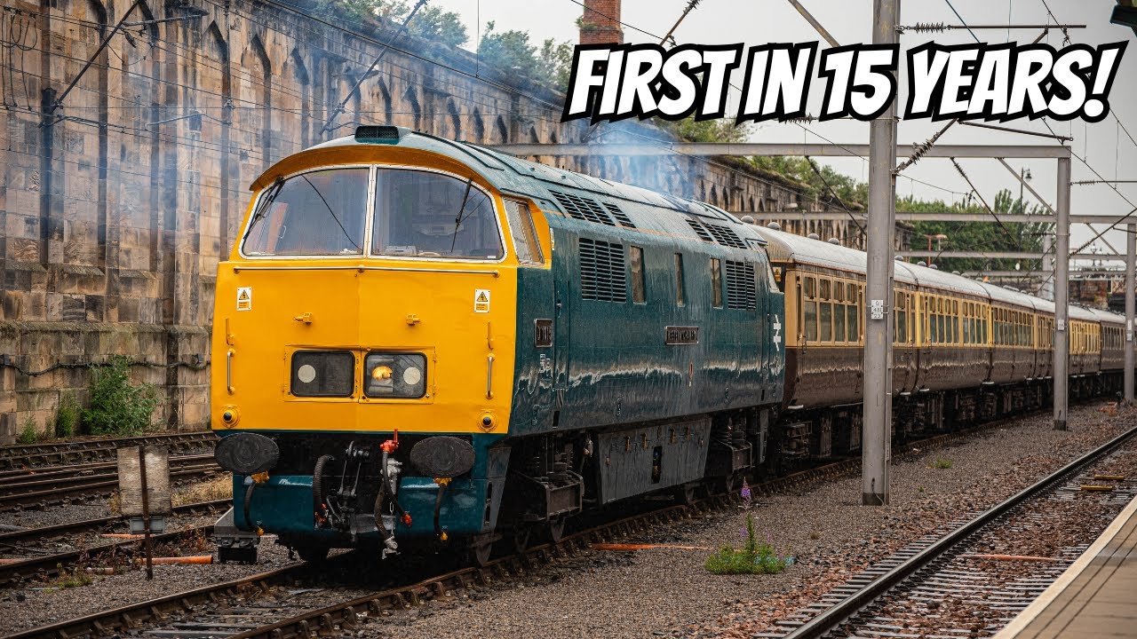 *RARE* Western Champion Visits Cumbria for the first time in 15 years!