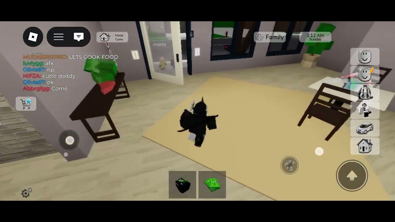 Playing Brookhaven but I joined a kids gang 