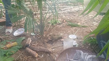 Phong tục tập quán của người Hre cúng?