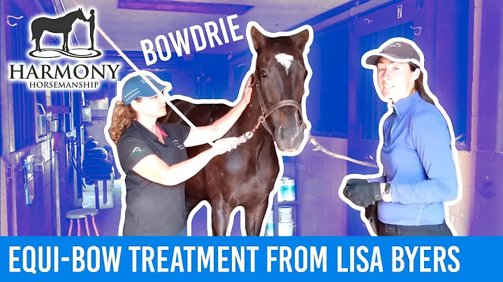 Bowdrie enjoying an Equi-Bow treatment from Lisa B...