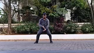 Shi Yong Quan Fa Tai Chi Practical Method
