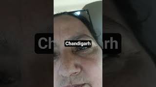 Chandigarh city roads roaming with family and really beautiful city of India #creatrip #urbantravel