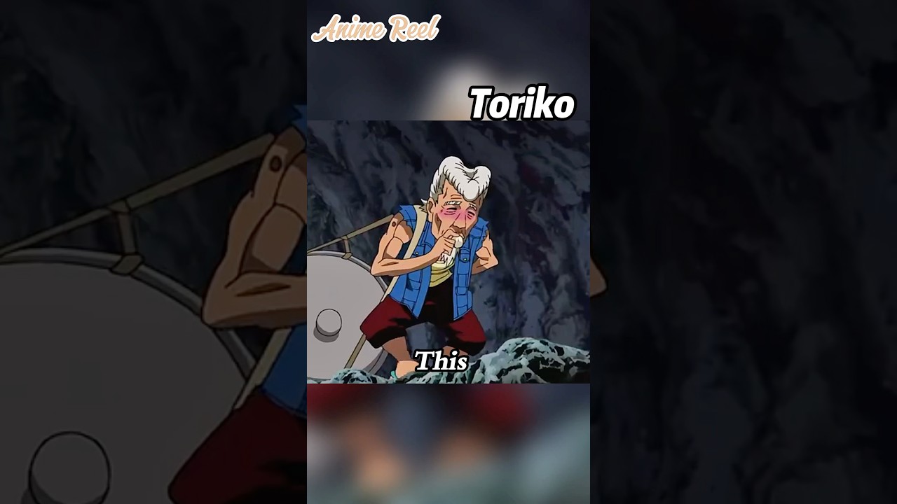 The 500-Year-Old Man Who STOPPED Earth's Rotation... SOLO? #shorts #toriko #cartoon - youtube
