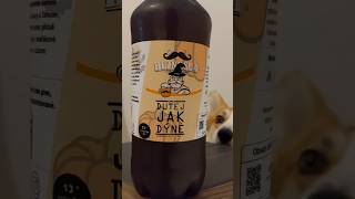 Дегустация пива из Чехии. Что в минипивоварнях? Dutej Jak Dýně \ Minipivovar Beznoska