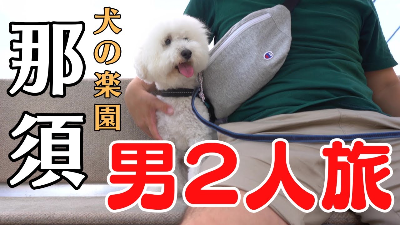 【那須へ犬と２人旅前編】那須牛ステーキを食らい、ゴンドラで犬の楽園に行ってみた