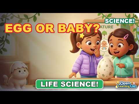 Why Dont Humans Lay Eggs | Science for Kids