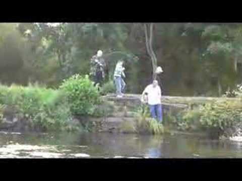 Salmon caught, River Mourne at Sion, Northern Irel...