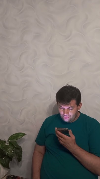 Серая птичка на китайском #алиса #серая #птичка #китайский #2024 # ...