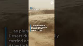 Dust from Sahara Desert blows over Florida, could cause higher temperatures