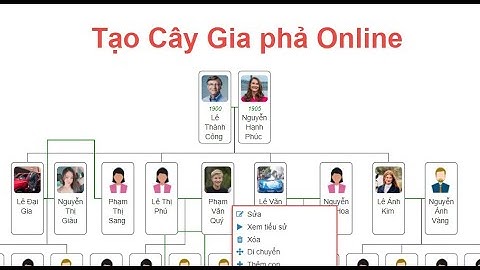 Hướng dẫn tạo cây gia phả, phả hệ online (Nâng cấp phiên bản mới tại MyTree.vn)